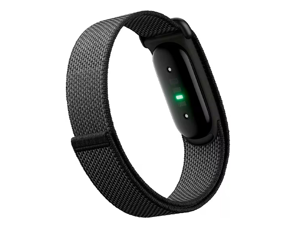 Dit product is geschikt voor de Fitbit Air