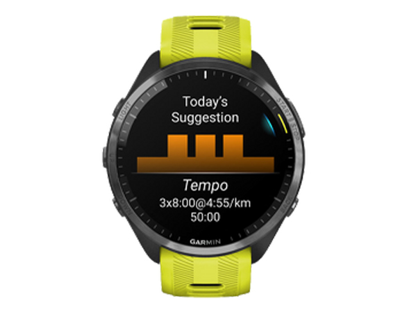 Dit product is geschikt voor de Garmin Forerunner 965