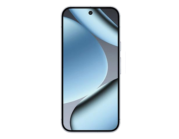 Dit product is geschikt voor de Google Pixel 10 Pro