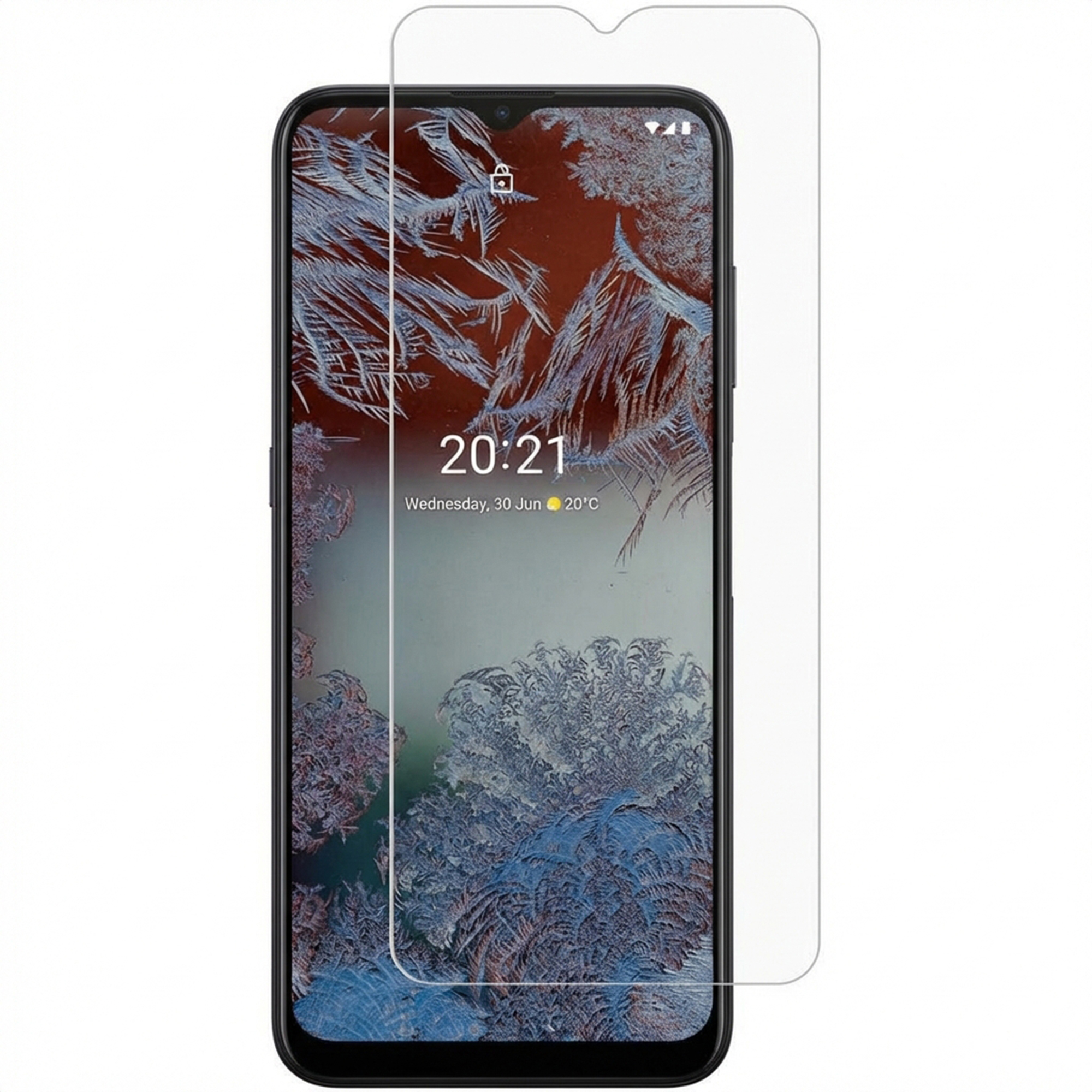 Selencia Protection d'écran en verre trempé Nokia G10 / G11 / G20 / G21 / G22