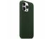 Apple Leather Backcover MagSafe iPhone 13 Pro - Sequoia Green