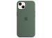 Apple Silicone Backcover MagSafe iPhone 13 - Eucalyptus