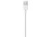 Apple Lightning naar USB-kabel iPhone SE (2022) - 0,5 meter