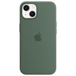 Apple Silicone Backcover MagSafe iPhone 13 - Eucalyptus